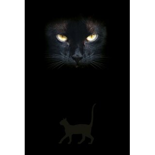 Notizbuch Katzenaugen