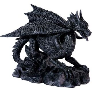 Kleiner Drache