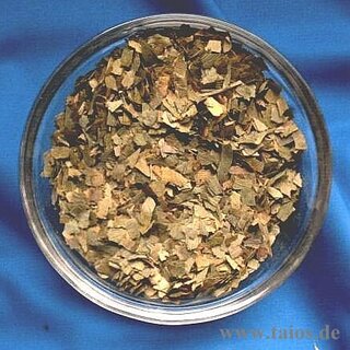 Ginkgoblätter (Ginkgo folium)