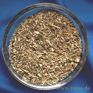 Erdrauchkraut (Fumaria officinalis)