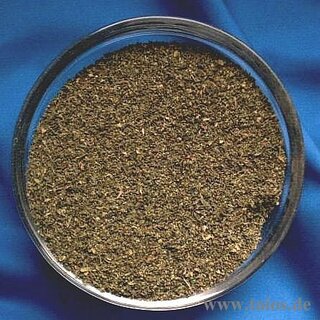 Brennesselsamen (Urtica dioica)
