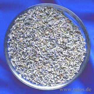 Lavendelblüten (Lavandula angustifolia)
