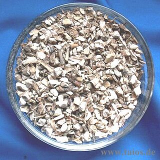 Kalmus (Calami rhizoma)