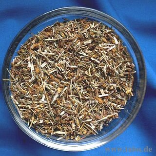 Johanniskraut (Hypericum perforatum)