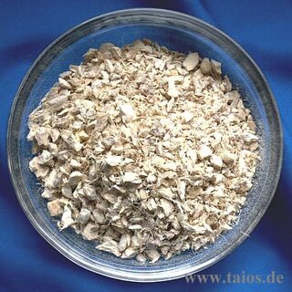Ingwer (Rhizoma Zingiberis)