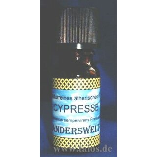 Cypresse (Cupressus sempervirens)