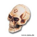 Lapillus Worry Skull