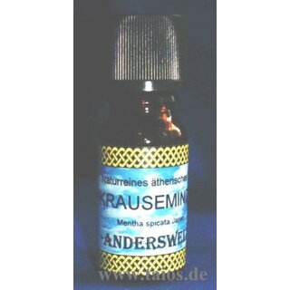 Krauseminze (Mentha spicata)