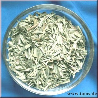 Lemongras (Cymbopogon citratus)
